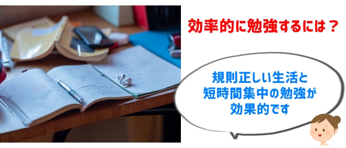 中学受験6年生の11月の効率的な学習方法と生活リズムの整え方